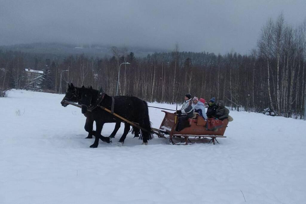 Nowoczesne Mieszkanie Blisko Natury I Sklepu Biedronka Karpacz Luaran gambar