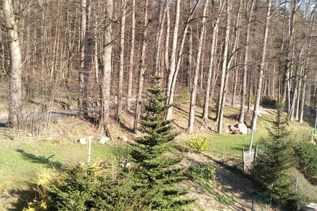 Nowoczesne Mieszkanie Blisko Natury I Sklepu Biedronka Karpacz Luaran gambar